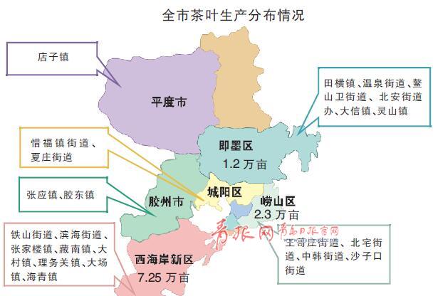 山东青岛茶叶生产分布状况