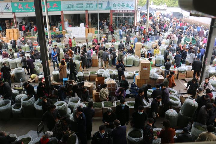浙南茶叶市场交易忙