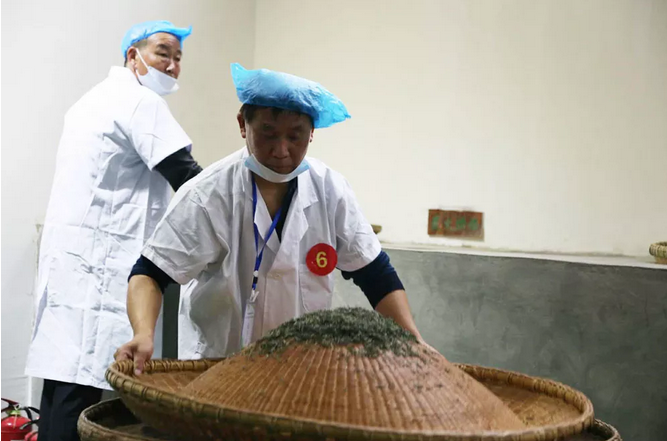 信阳毛尖传统手工炒制