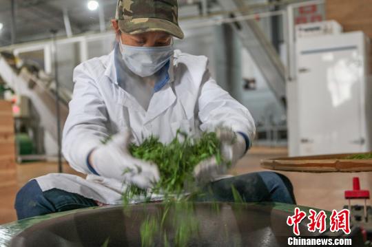 乡村振兴应该先做地域品牌还是企业品牌？