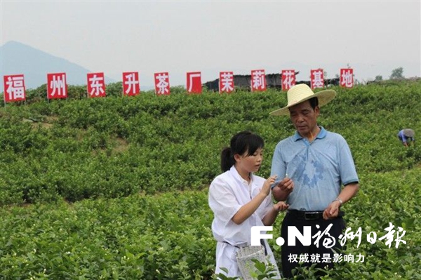 é¿ä¹å¶è¶èå äººæå¢é¦ï¼è®©èèè±é¦é£ä¸é