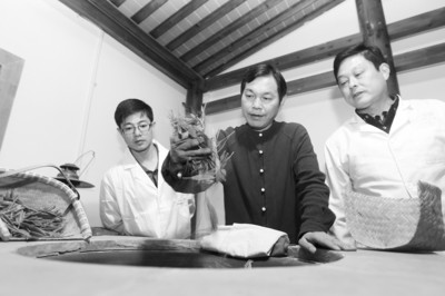 方继凡在向青年茶师传授太平猴魁的传统制作技艺。 方继凡在向青年茶师传授太平猴魁的传统制作技艺。