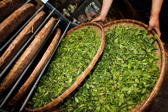 不同种类茶叶的储存方法