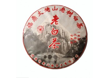 福鼎白茶2015年古树老白茶 爆款贡眉白茶饼图1