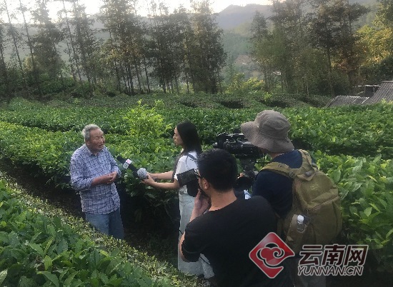 “台地茶之父”肖时英
