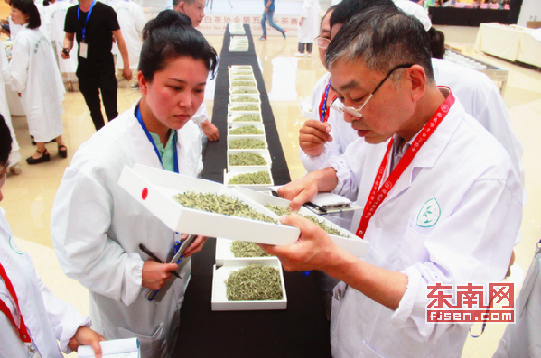 特邀专家和民间专家组成的评委对茶样进行评审。