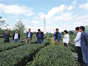 è¾å²å¸ç§¯ææ¨è¿è¶å¶äº§ä¸åå±ä¸­å½è´¢ç»æ°é»ç½www.prcfe.com