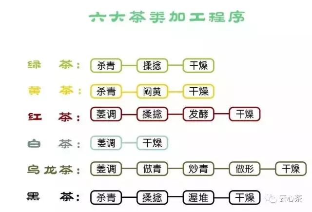 中国六大茶系的分类及特色，看完就懂了（喝茶入门）