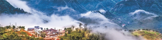 云岭茶庄园全景