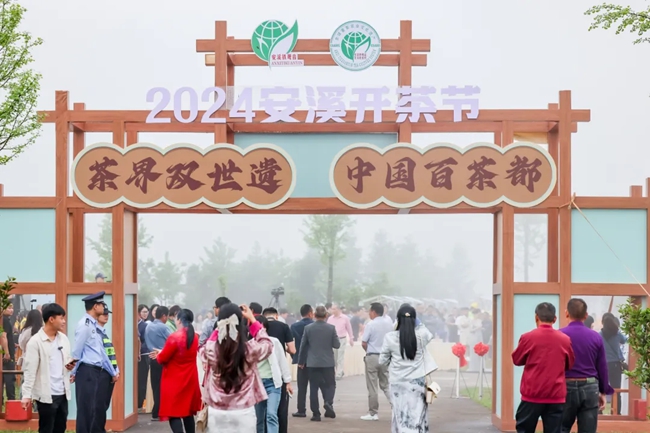 2024安溪开茶节。安溪县融媒体中心供图