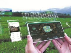 如何推动茶产业高质量发展与全球化突破